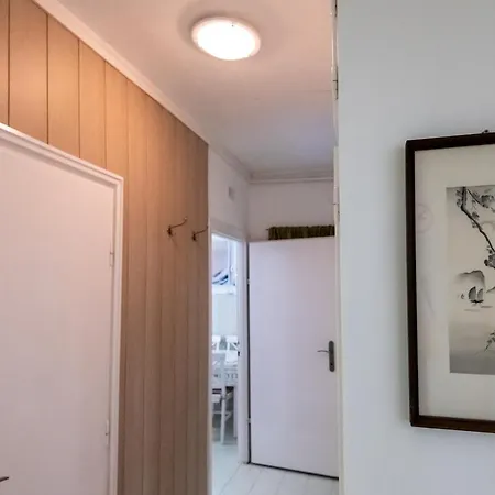 Kis Janos סופרון